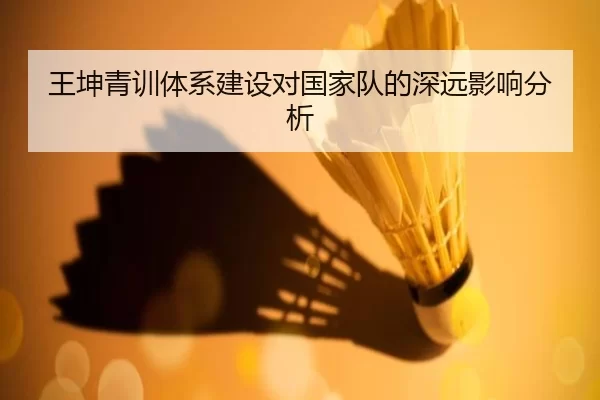 王坤青训体系建设对国家队的深远影响分析